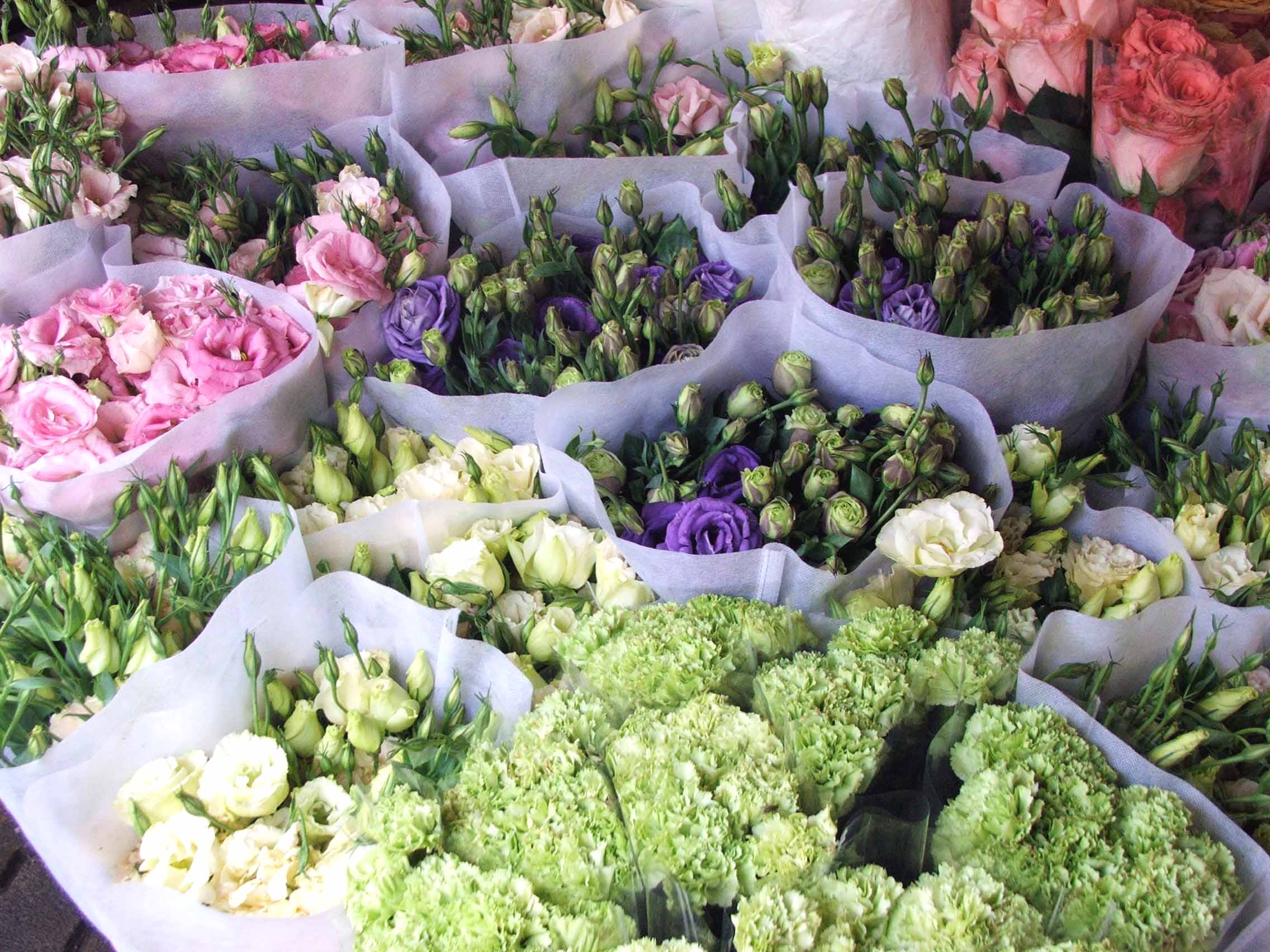 Какие цветки можно купить. Цветы срезка. Ассортимент срезанных цветов. Цветы магазинные. Ассортимент цветочного магазина.