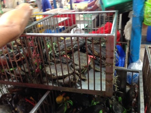 Fresh crabs are always sold alive at Farmers.